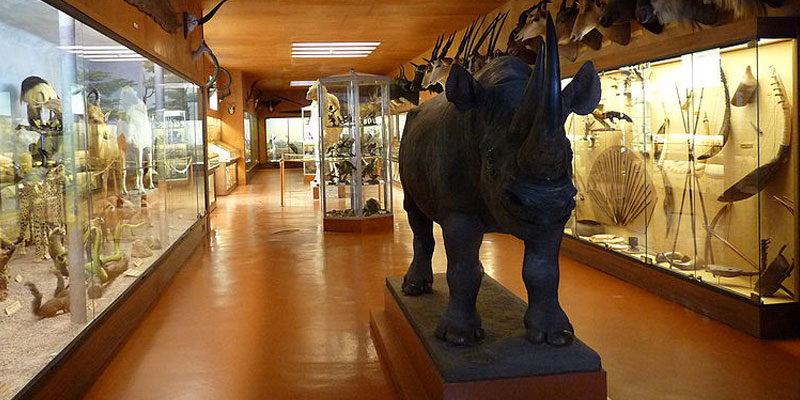 musée africain